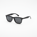 Wayfarer Sunglasses